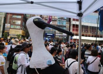 서울 강남 한복판에 저어새가 온 이유