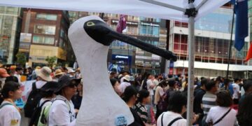 서울 강남 한복판에 저어새가 온 이유