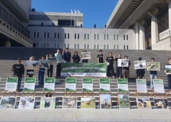 동물단체들, 세계 동물의 날 모여 ‘보금자리 선언’…“동물은 삶의 주체”