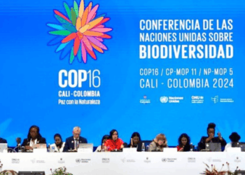 “생물다양성 ‘국제기준 미달’하고, ‘보호구역’은 지정되나 마나”