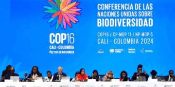 “생물다양성 ‘국제기준 미달’하고, ‘보호구역’은 지정되나 마나”