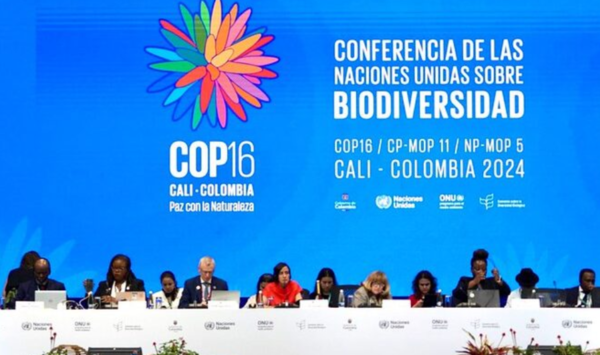 지난 10월 제16차 유엔 생물다양성협약 당사국총회 현장. 사진=COP16 콜롬비아 홈페이지 화면 갈무리