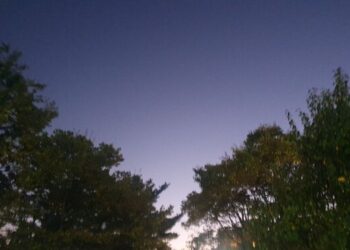 자꾸 져서 하는 말