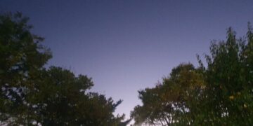 자꾸 져서 하는 말