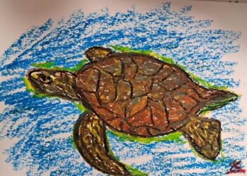 [독자투고 그림] 거북이의 항해