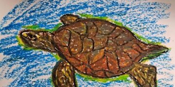 [독자투고 그림] 거북이의 항해