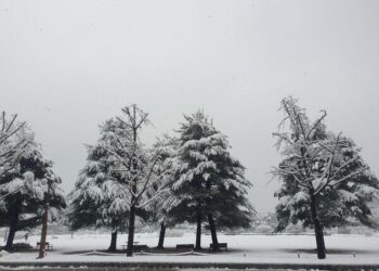 때이른 ‘11월 폭설’, 원인은?…“높아진 서해 수온”