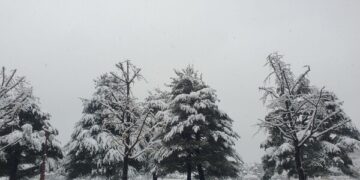 때이른 ‘11월 폭설’, 원인은?…“높아진 서해 수온”