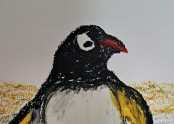 [독자투고 그림] 펭귄은 너무 더워요