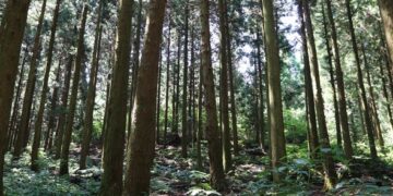 안녕하세요. 신년인사 겸 창간인사드립니다.