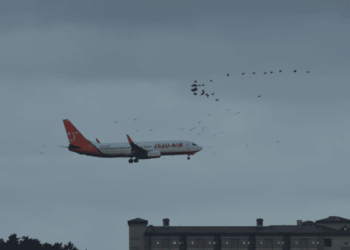 “새 수십만 마리 통제 못 해”…\’새만금신공항 취소 판결 촉구\’ 서명 진행