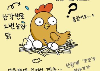 [대충툰] 내가 먹은 달걀은 어떤 닭이 낳은 걸까?