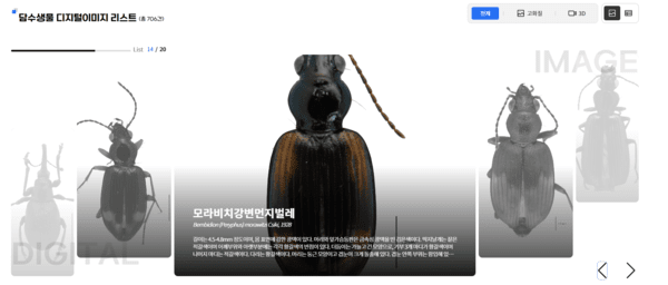 국립낙동강생물자원관 담수생물다양성 정보포털에 실린 고해상도 담수생물 디지털 이미지. 사진=환경부