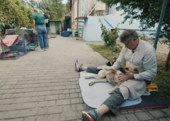 [적녹영화] 전쟁은 비인간-동물도 피할 수 없다