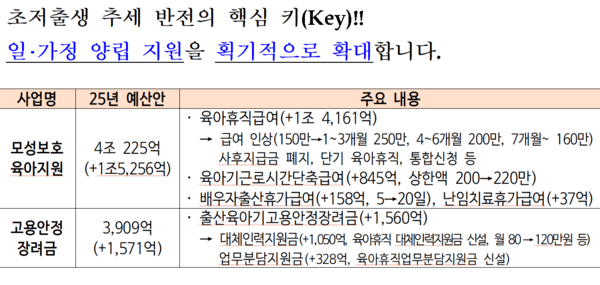 \'2025년 고용노동부 예산안\' 보도자료 갈무리. 자료=고용노동부
