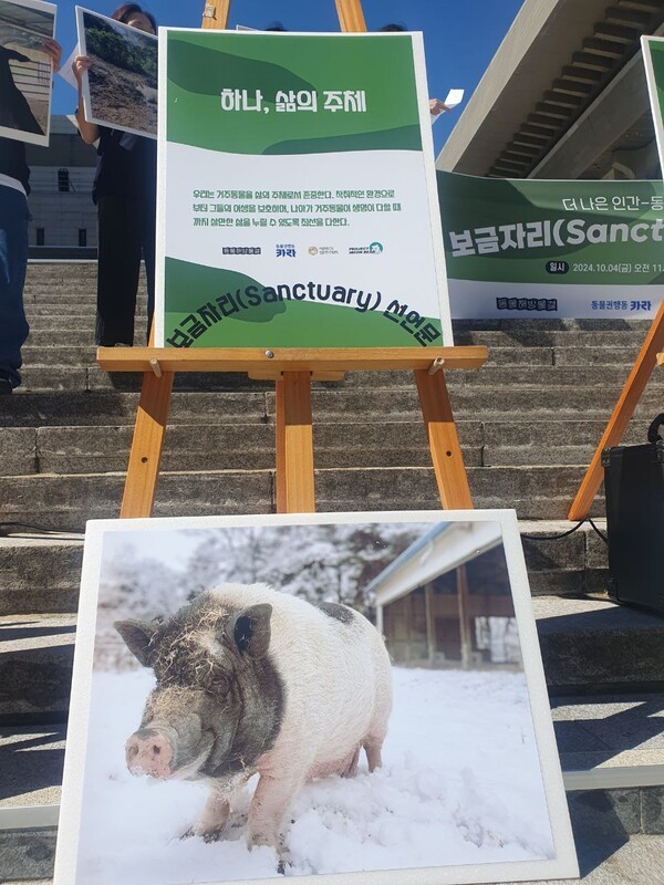 4일 세계 동물의 날을 맞아 곰 보금자리 프로젝트‧동물권행동 카라‧동물해방물결‧새벽이 생추어리를 비롯한 4개 동물 보호 단체가 서울 종로구 세종문화회관 앞에서 기자회견을 열고 ‘보금자리 선언문’을 발표했다. 사진=최나영 기자