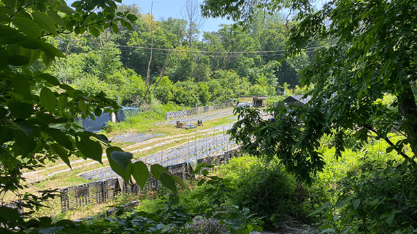 생명다양성재단이 추진하는 \'야생신탁\' 프로젝트 대상지인 경기도 파주시 조리읍의 임야. 사진=생명다양성재단