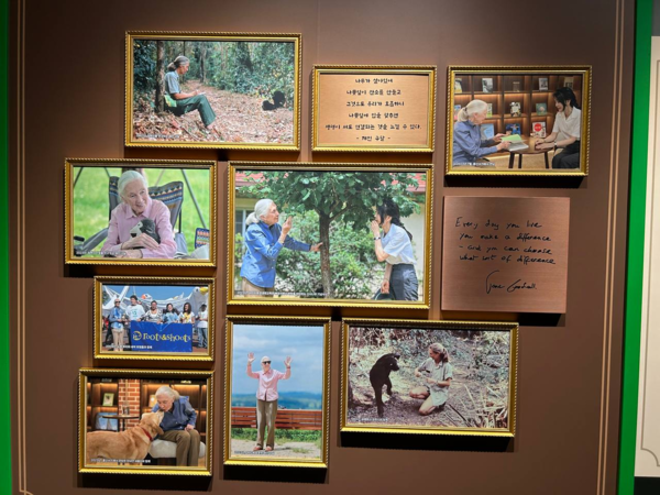 서울 용산 어린이 환경·생태교육관 한편에 제인 구달 박사와 김건희 여사 만남을 기념하는 사진이 걸려 있다. 사진=이용우 더불어민주당 의원실 제공  