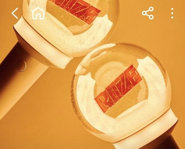 중고물품 거래사이트에 응원봉을 판매하거나 대여한다는 글들이 올라고오 있다. 사진=당근마켓 갈무리