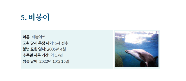 2022년 방류된 남방큰돌고래 비봉이 정보. 자료=해양수산부 \'제주 남방큰돌고래 해양방류 백서\' 내용 중 발췌.