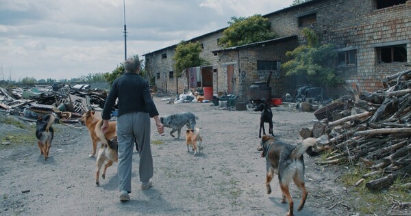 영화 \'니카를 찾아서\' 스틸. 출처=EBS국제다큐영화제 홈페이지