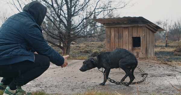 영화 \'니카를 찾아서\' 스틸. 출처=EBS국제다큐영화제 홈페이지